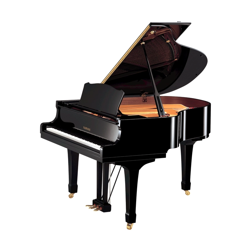 musik-wittl361192
