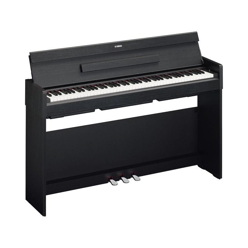 musik-wittl366416