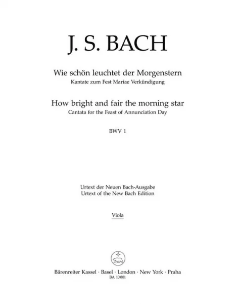 reisser-musik-3219493