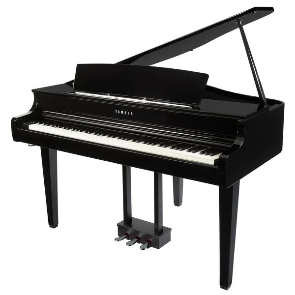 thomann-3207600